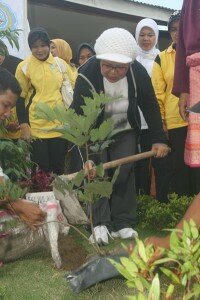 Ketua TP PKK Batam, Hj. Mariana Dahlan menanam pohon palawija, f;der