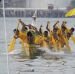International Sea Eagle Boat Race 2009 Resmi di Buka Wawako Batam