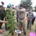 Wawako Dukung Program One Man One Tree