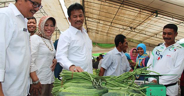 Dinas KP2K Targetkan 2019 Pertanian Batam Terpusat di Pulau-Pulau